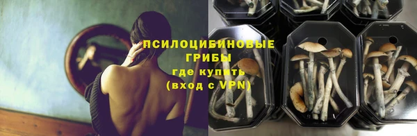 гидра Заводоуковск