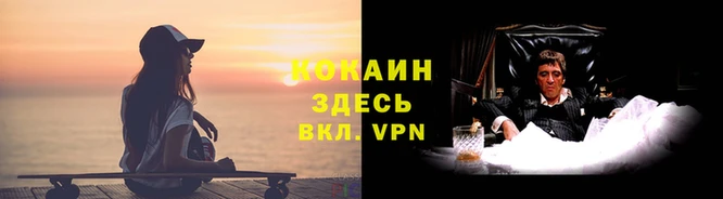 гидра Заводоуковск