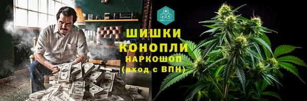 гидра Заводоуковск