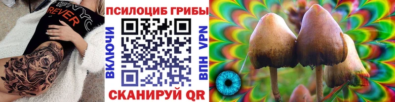 Галлюциногенные грибы MAGIC MUSHROOMS  Каргат 
